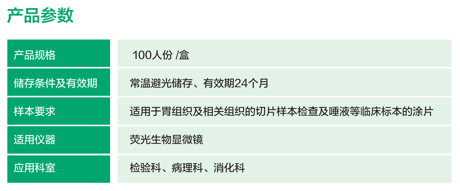 幽门螺杆菌.png